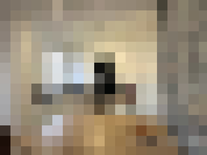  / #11