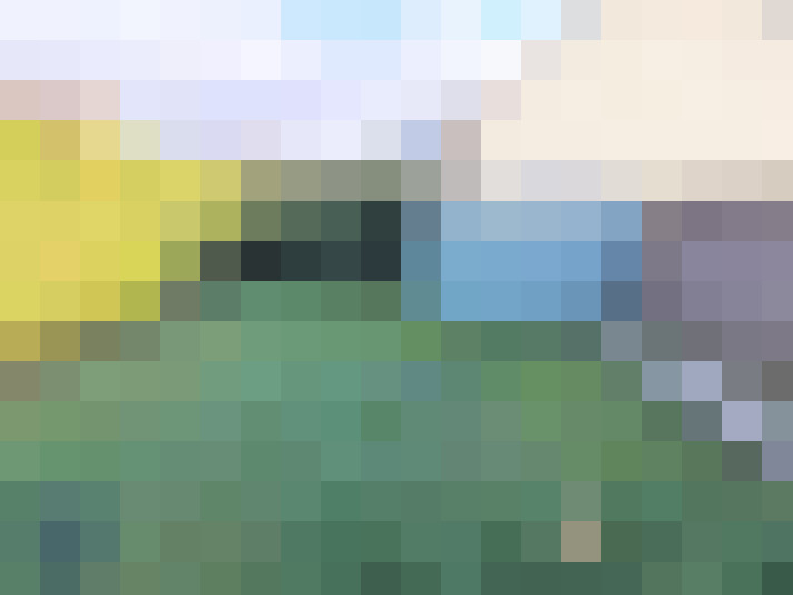  / #8