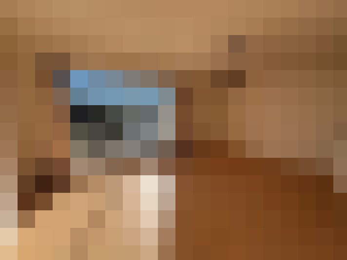  / #2