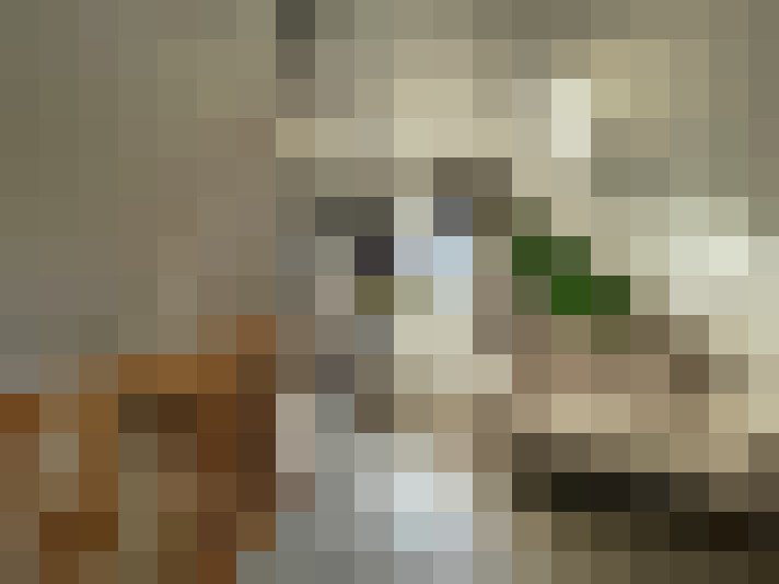 / #7