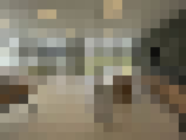  / #19