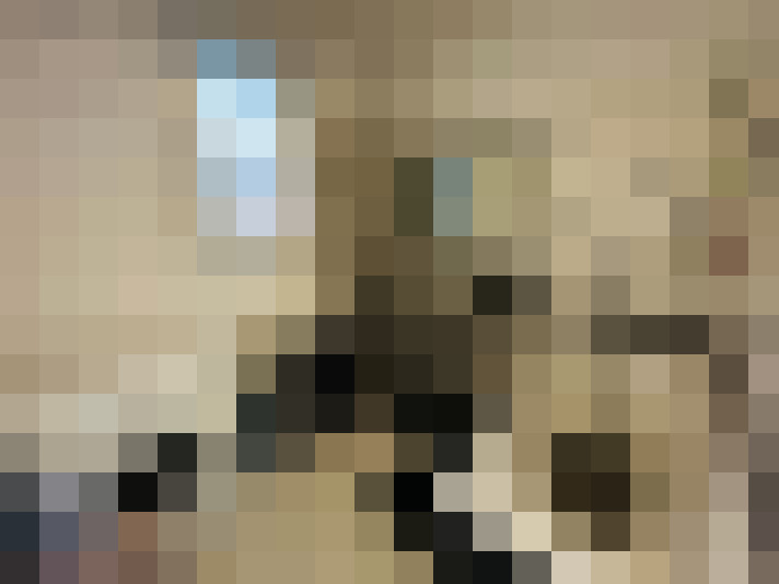  / #8