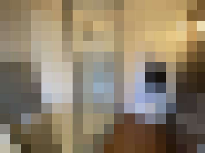  / #8