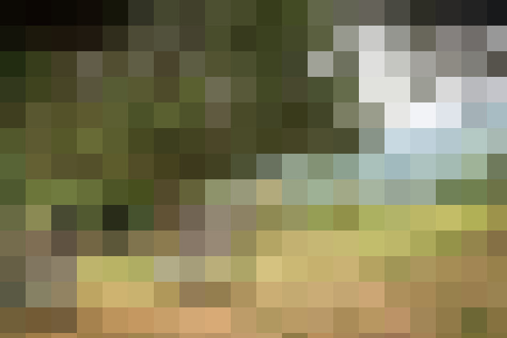  / #16