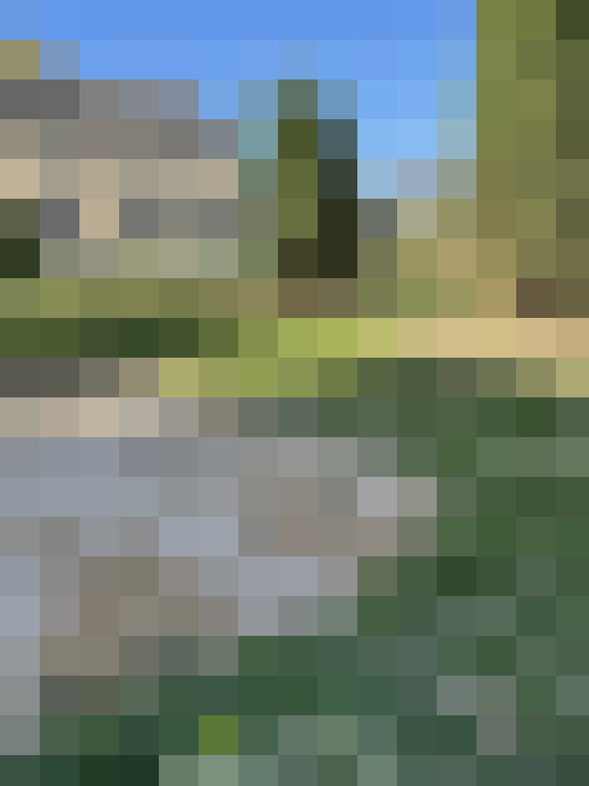  / #14