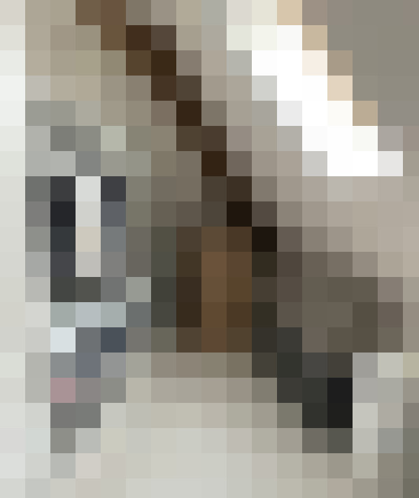  / #11