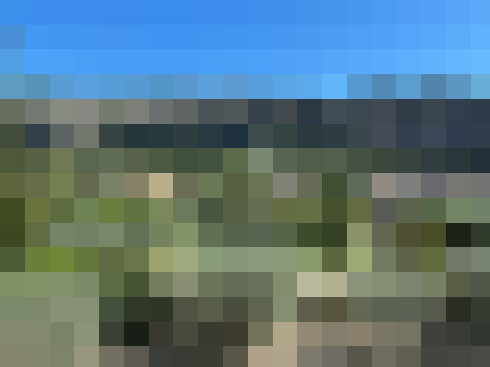  / #7