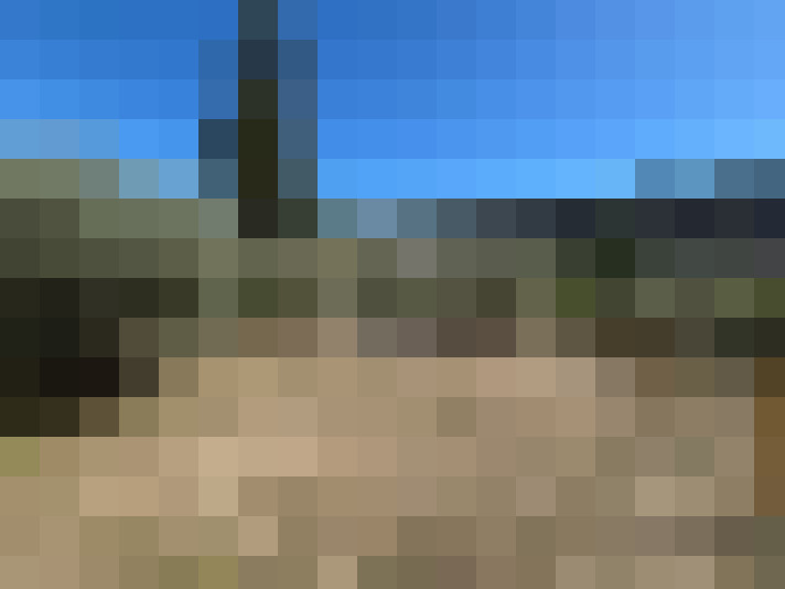  / #8