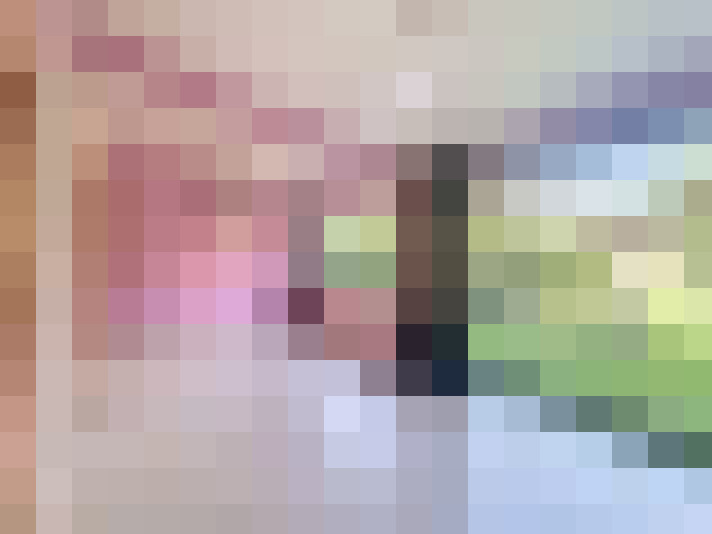  / #8