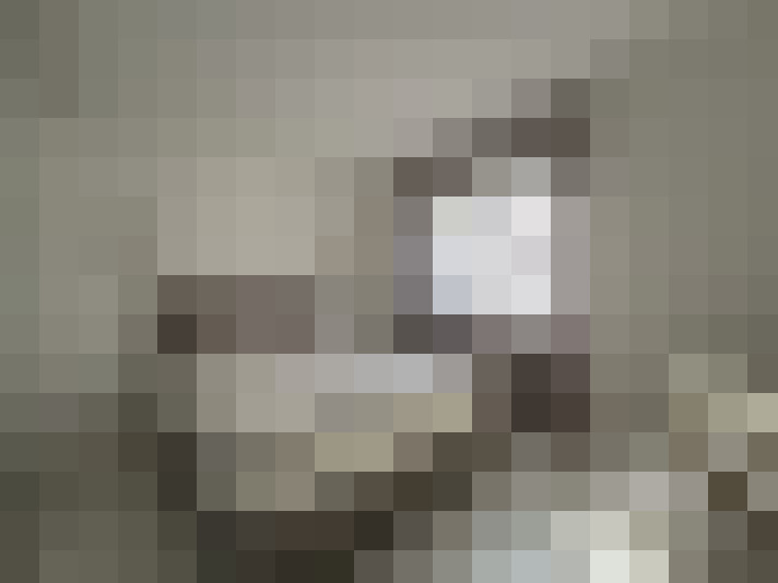  / #8
