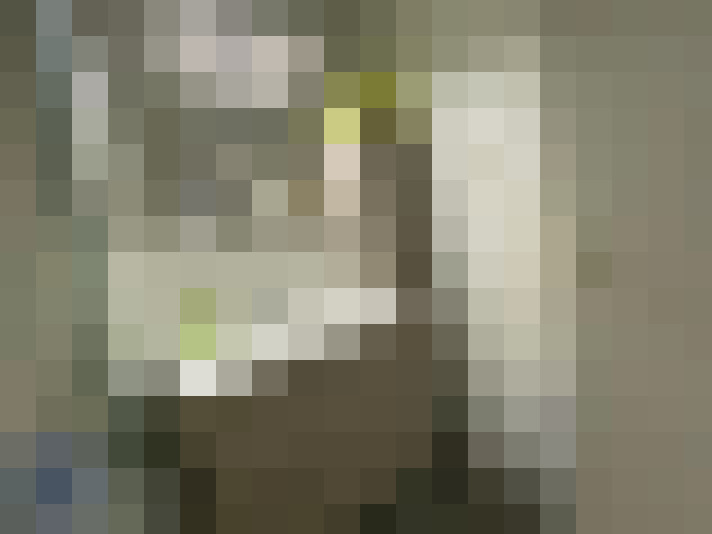  / #8
