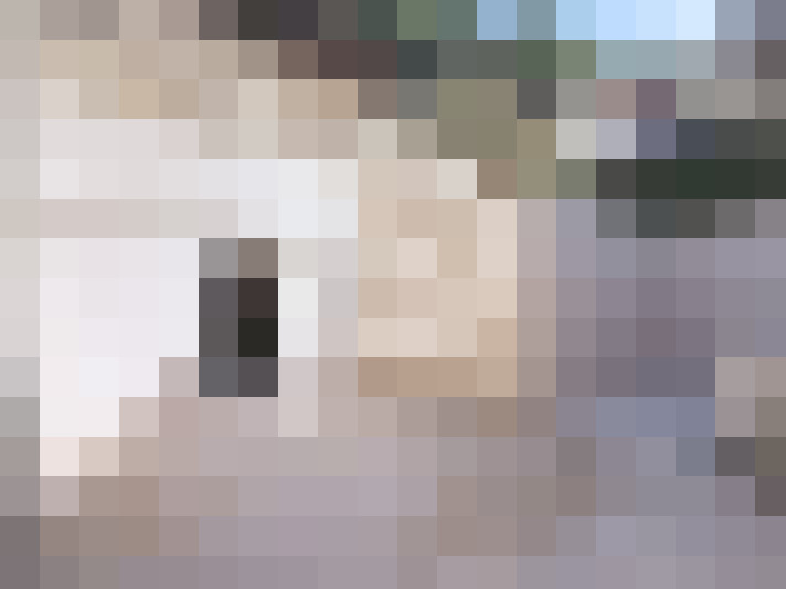  / #13