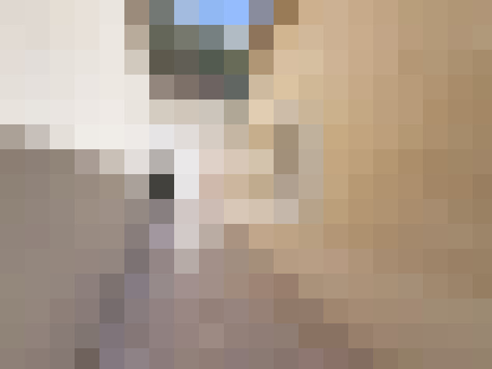  / #12