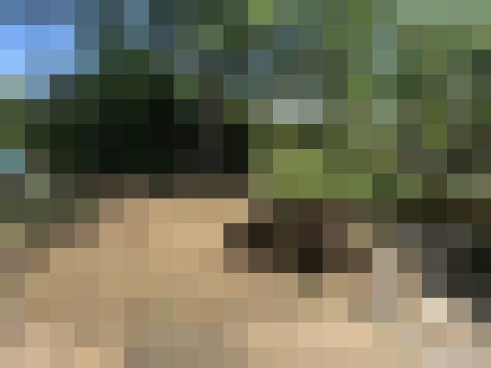  / #16