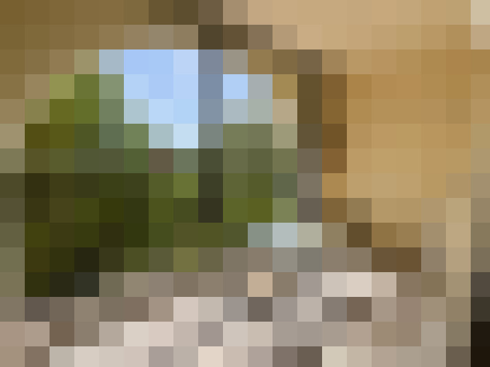  / #8