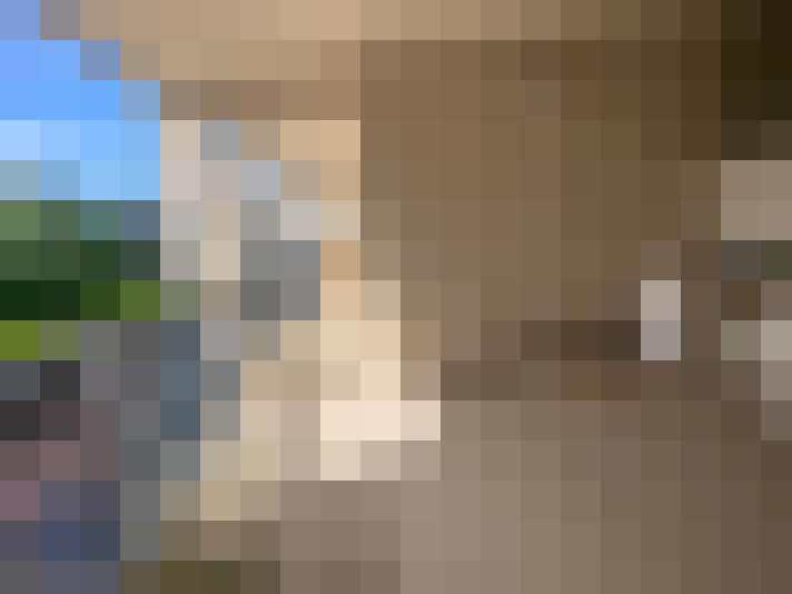  / #6