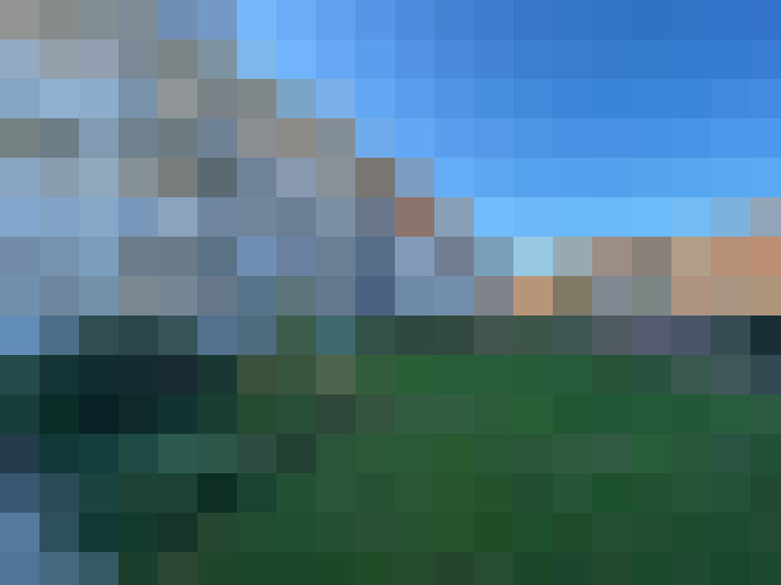  / #16