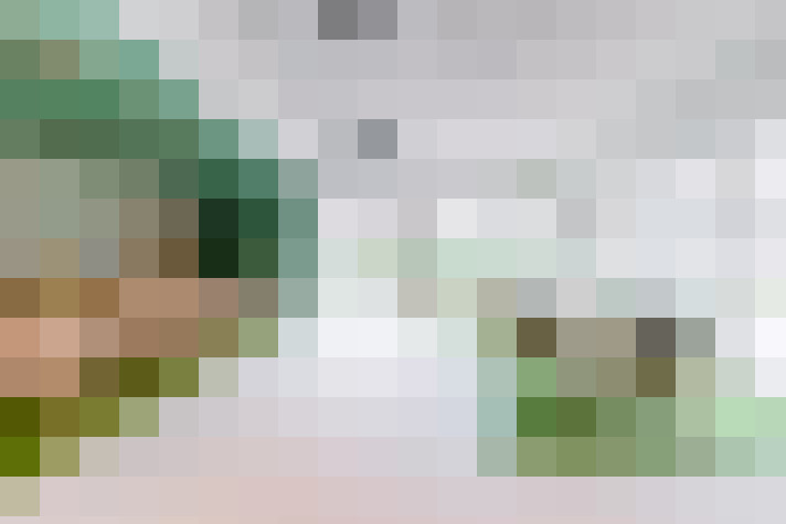  / #13