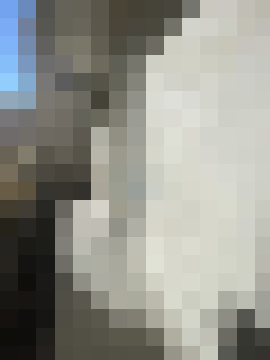  / #8