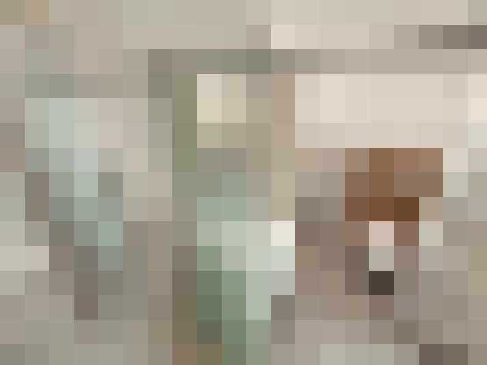  / #8