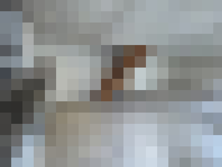  / #11