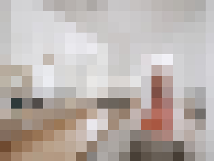  / #15