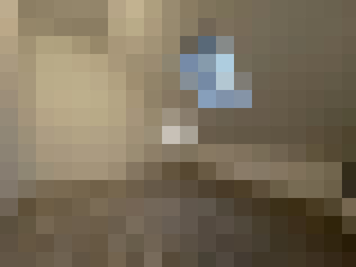  / #10