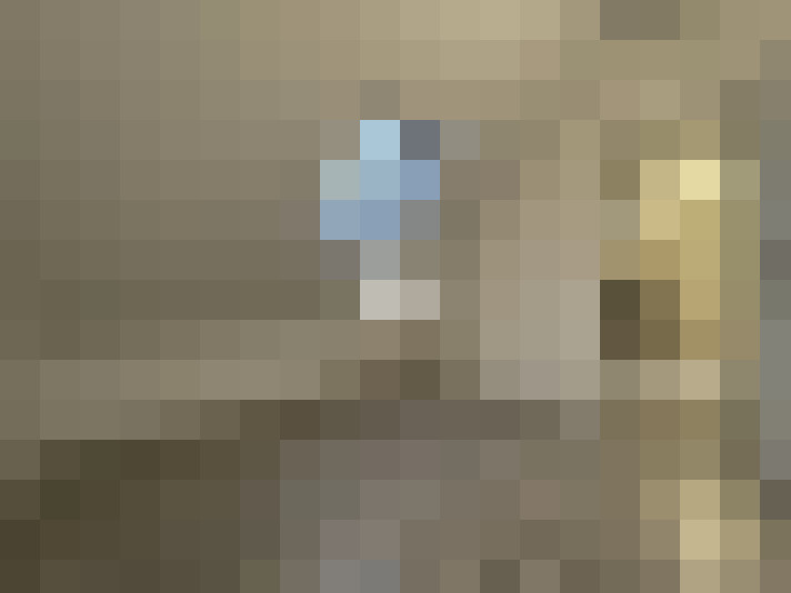  / #11