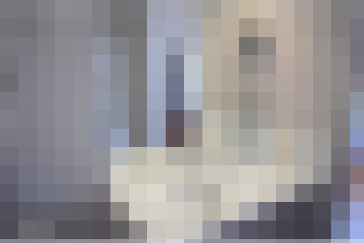  / #15