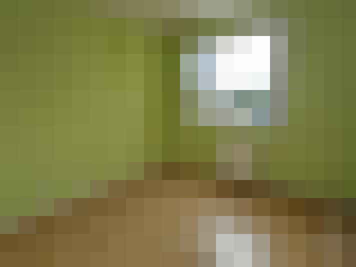 / #10