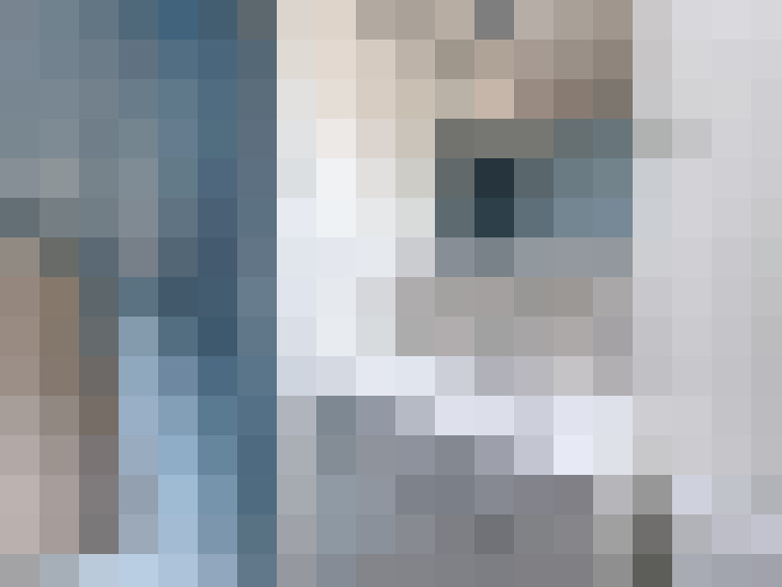 / #14
