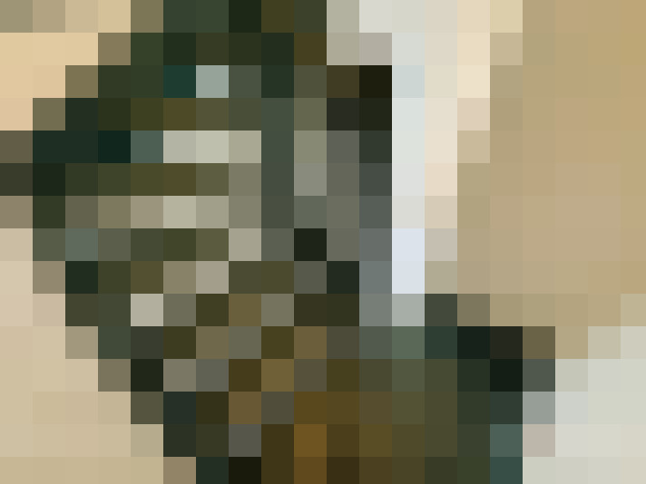  / #14