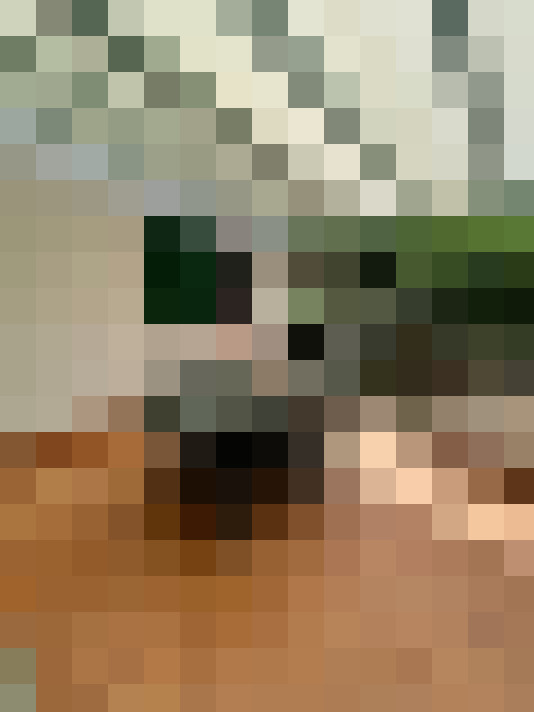  / #15