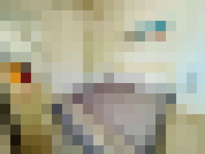  / #23