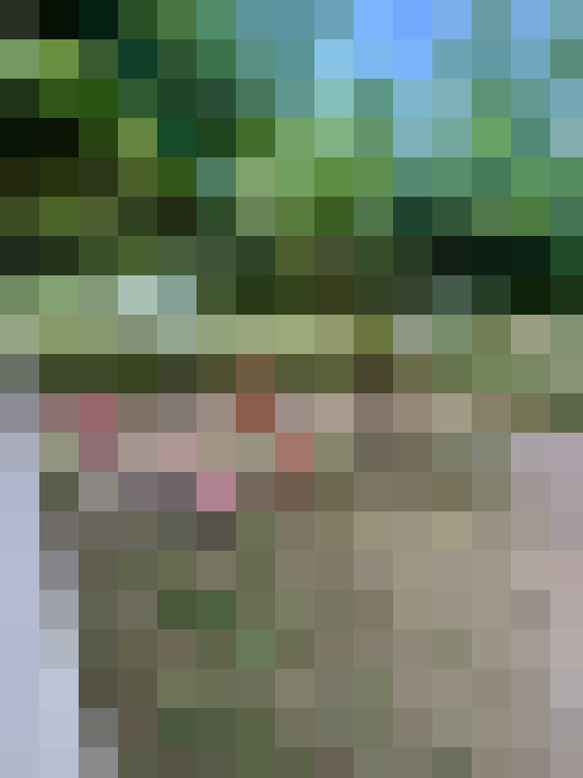  / #14