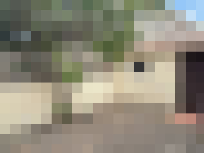  / #15