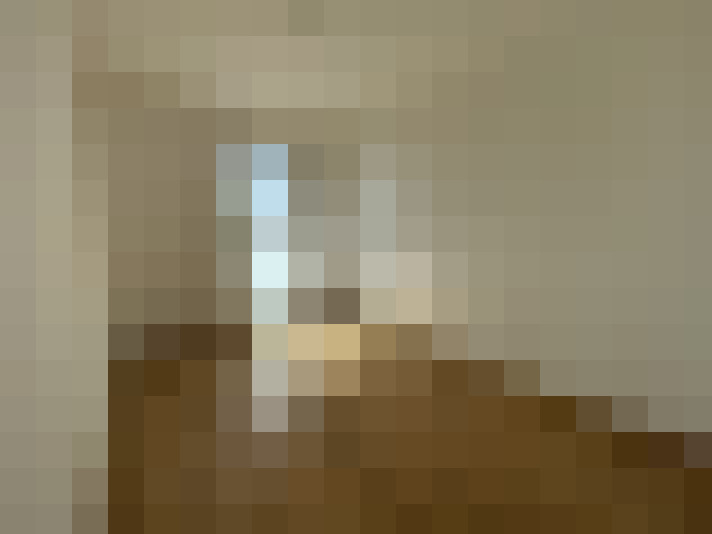  / #8