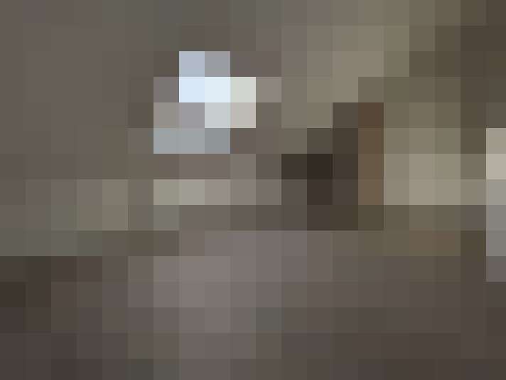  / #10
