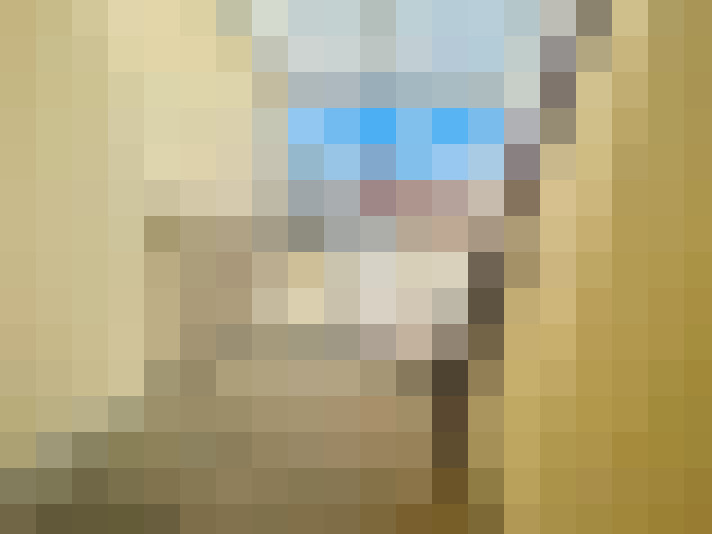  / #8
