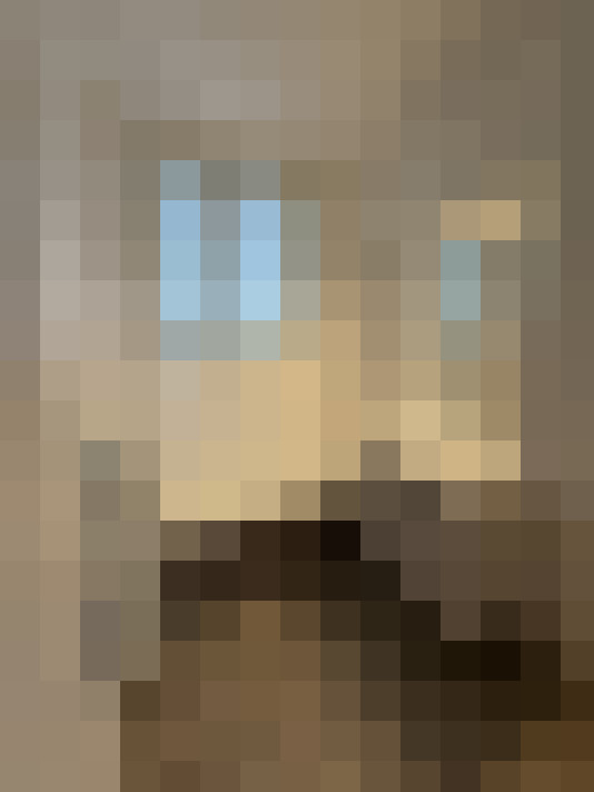  / #8