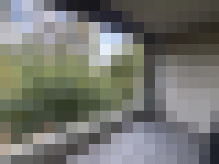  / #15