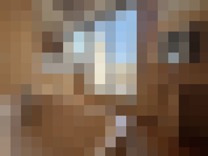  / #16