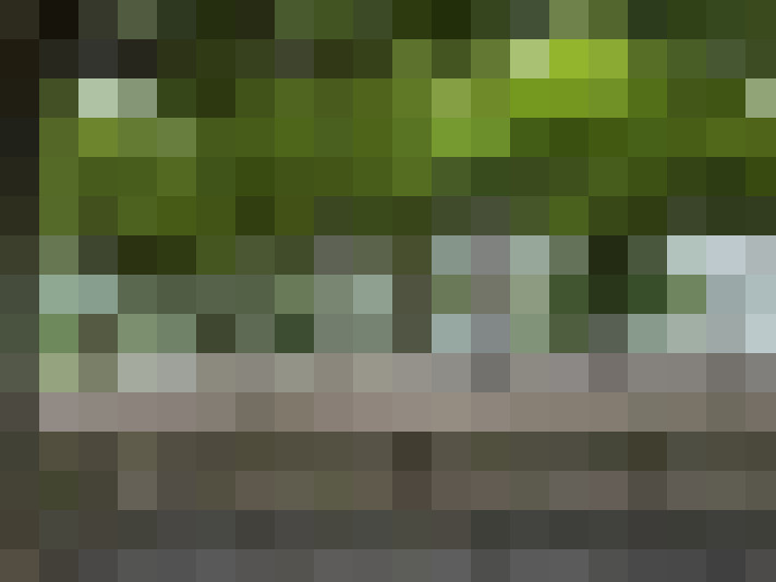  / #16