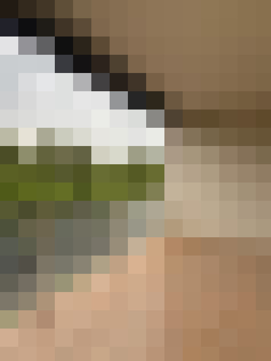  / #13