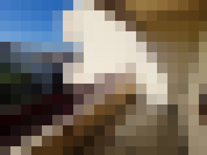  / #11