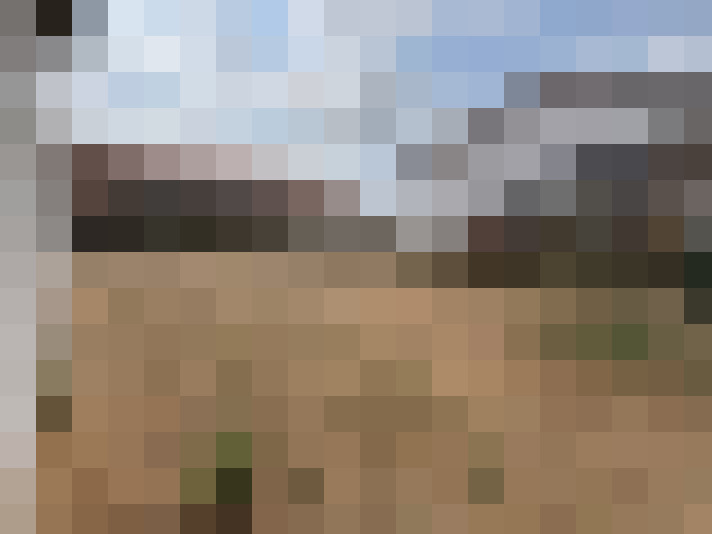  / #14