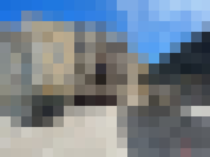  / #7
