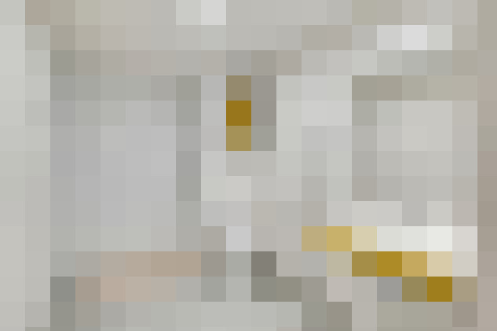  / #23