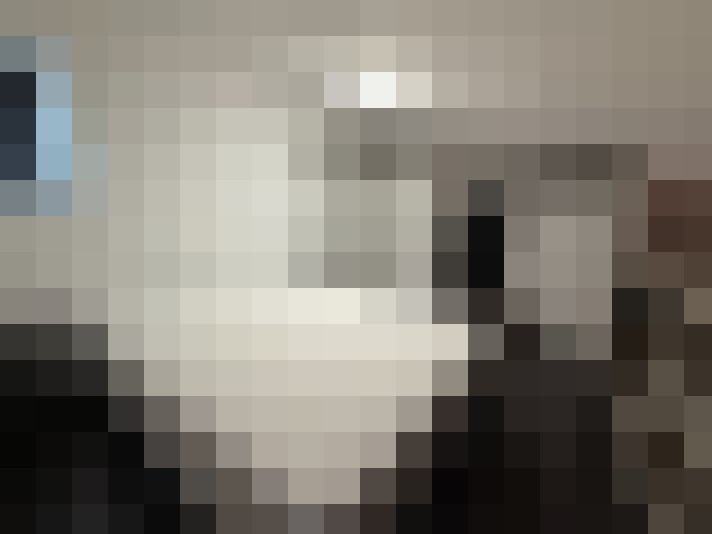  / #8