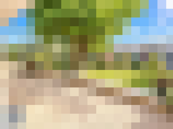  / #15